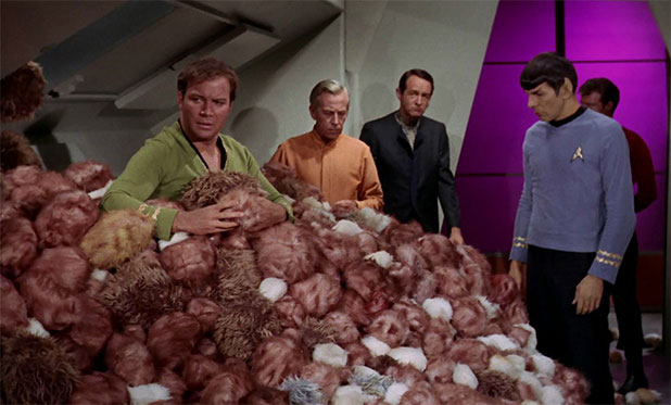 Ever Wonder How Many Tribbles Could Fit In Your Home?