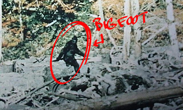 Bigfoot